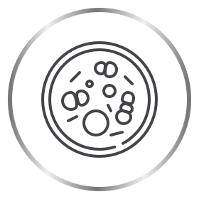 Canesten yeast cells under microscope icon
